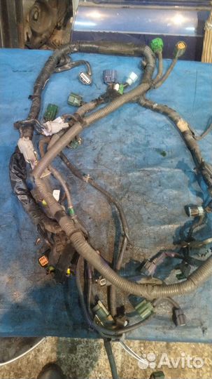 Проводка двигателя коса двс Nissan Elgrand VQ35DE