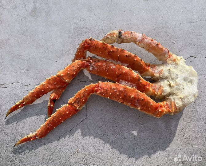 Клешни камчатского краба