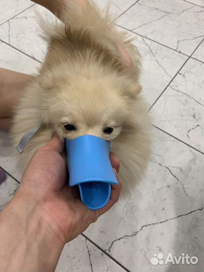 Намордник для собаки