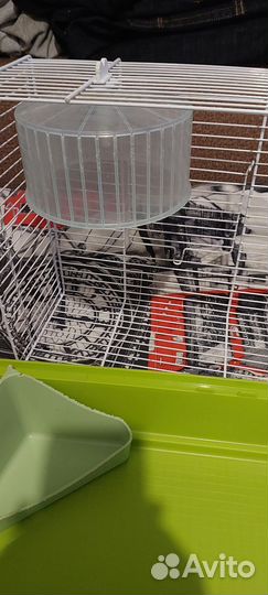 Клетка для сирийского хомяка