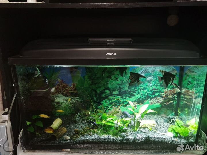 Аквариум, оборудование