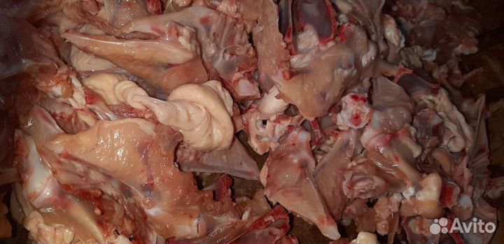 Мясо для животных