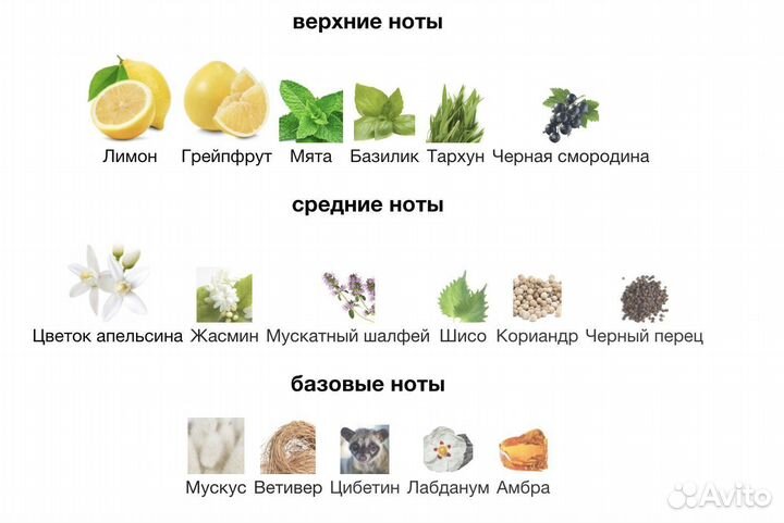 Духи унисекс Tom Ford Mandarino di Amalfi 50мл