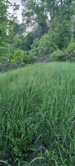 Участок 4 сот. (ИЖС)