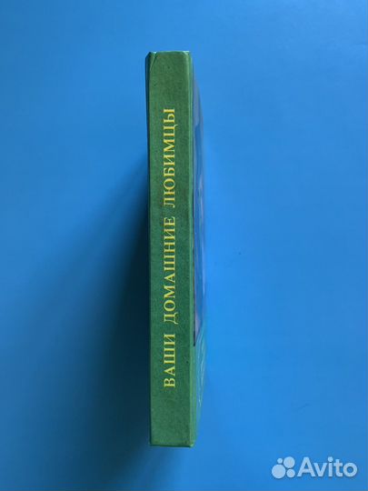 Ваши домашние любимцы