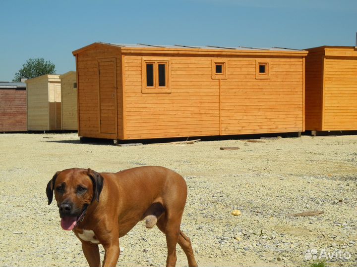 Бани Дачные