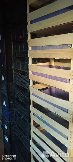 Ящик для рассады