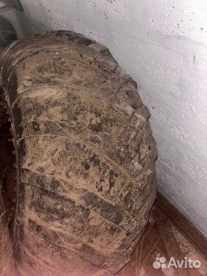 Шины ободрыши