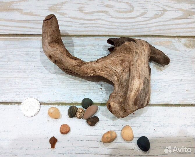 Коряги. Декор. Дрифтвуд