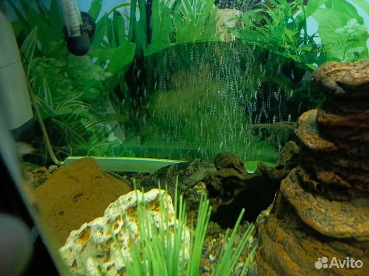 Украшение для аквариума