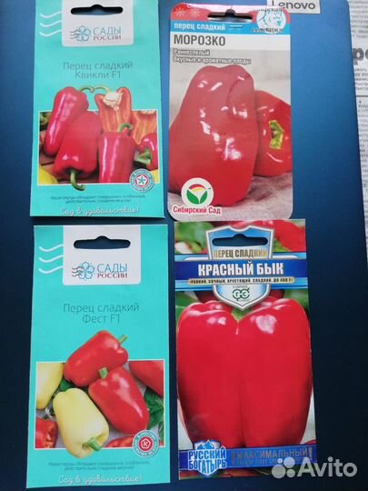 Рассада перца и баклажан