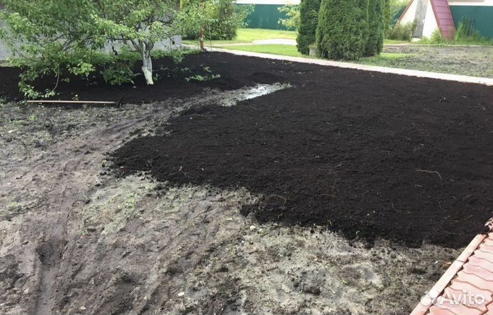Чернозем для огорода доставка