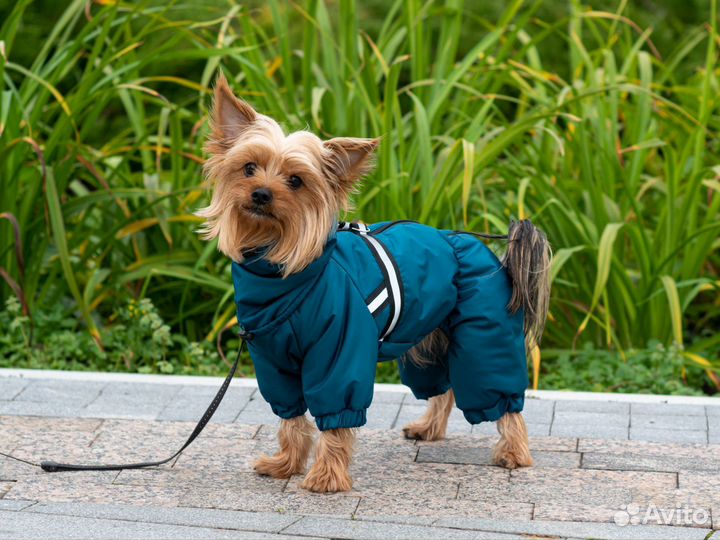 Зимний комбинезон для собак мелких пород
