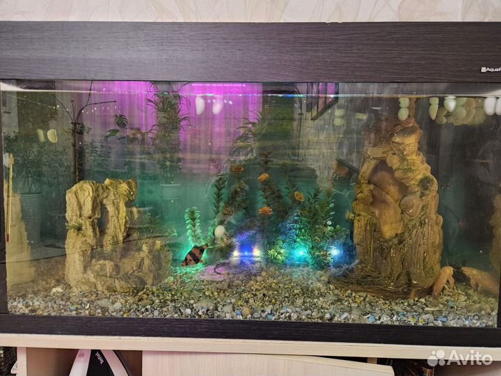 Аквариум с тумбой 120 литров +декор