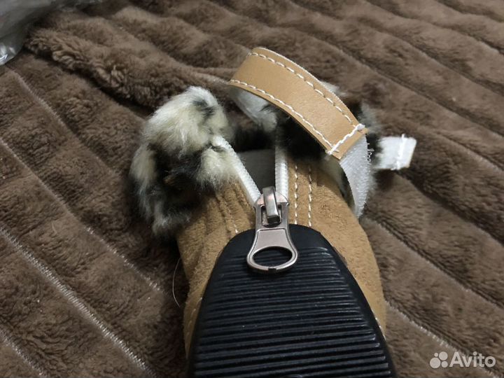 Ботинки для собак