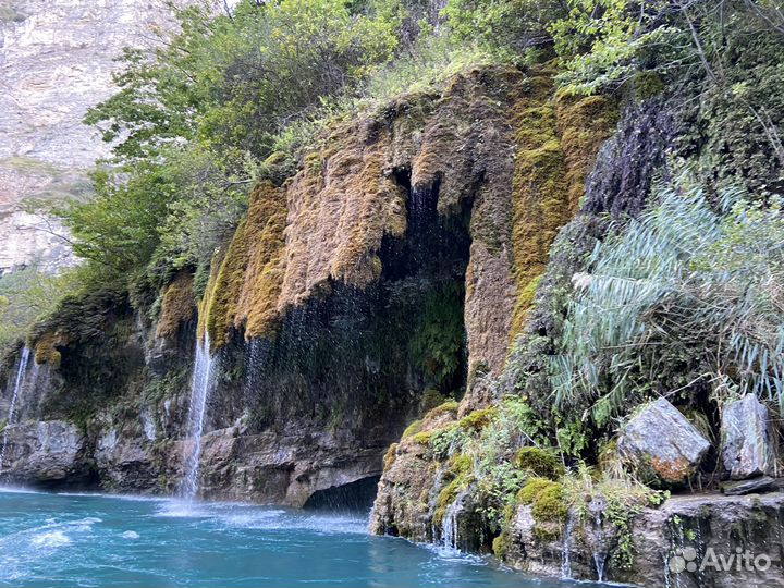 Личный водитель, индивидуальные туры