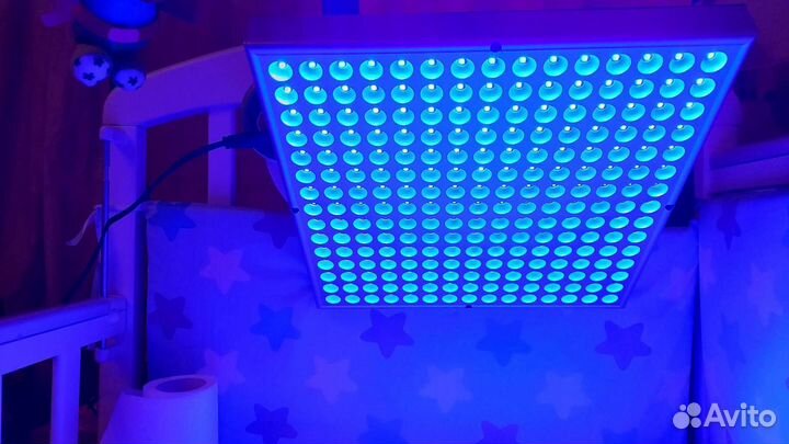 Лампа для лечения желтушки новорождённых (аренда)