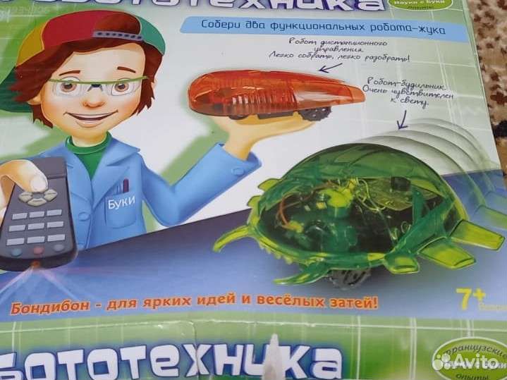 Робототехника жук