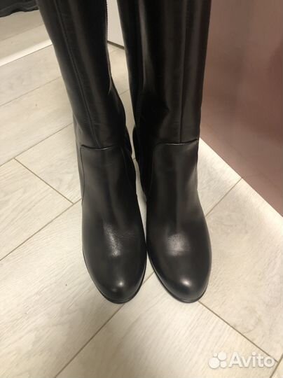 Новые Carlo Pazolini зимние