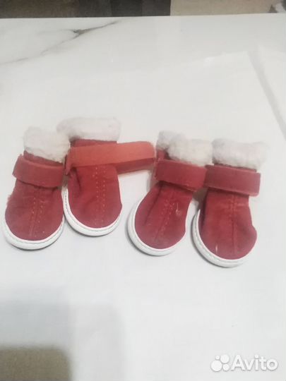 Ботинки зимние для собак бу