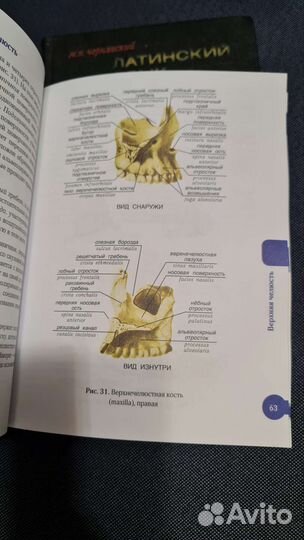Учебник латинский язык и Атлас анатомии человека