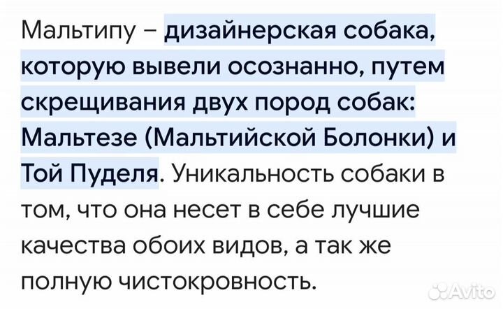 Игрушечные деточки мини и микро мальтипу F1 бронь