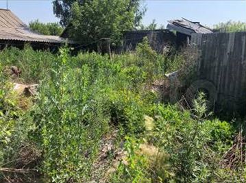 Дом 61,5 м² на участке 11,8 сот.