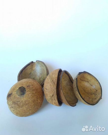 Кокос, Силиконовые формы, Пчелиный воск, Вощина