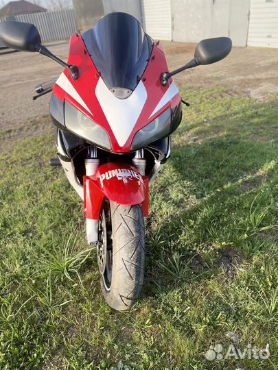 Honda cbr 600rr