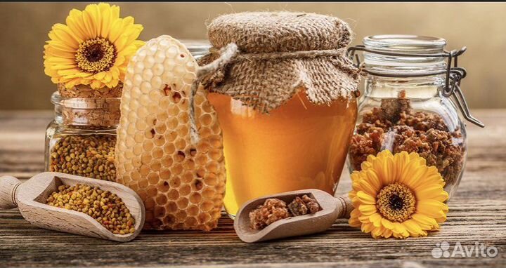 Алтайский мёд (горное разнотравье) и медовые соты