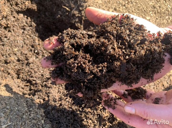 Перегной конского навоза в мешках (25 литров)