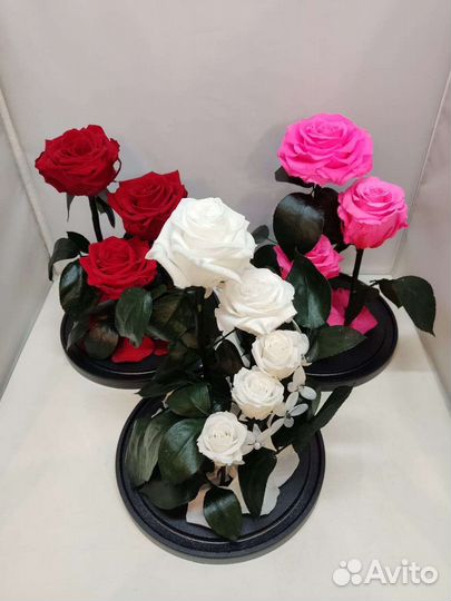 Роза в колбе