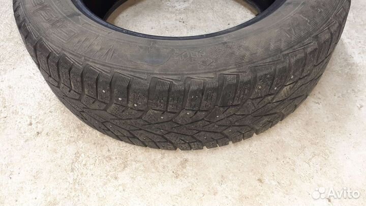 Gislaved NordFrost 100 185/65 R15