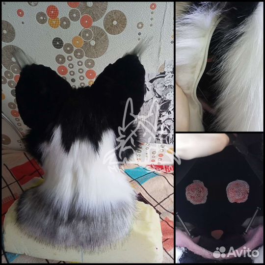 Фурсьют собаки