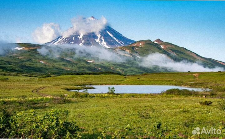 Тур-поездка на Камчатку летом 7-9 дней