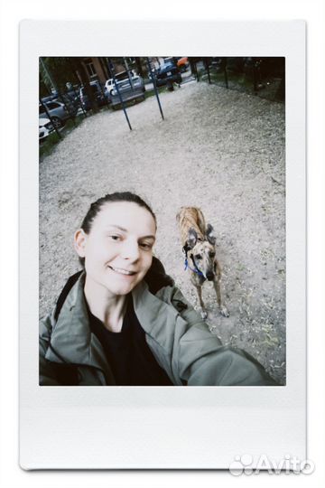 Зоопсихолог для собак/Выгульщик/догситтер/няня