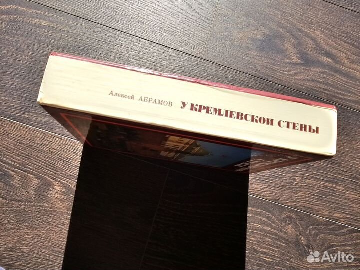 У Кремлевской стены. Алексей Абрамов. СССР. 1979г