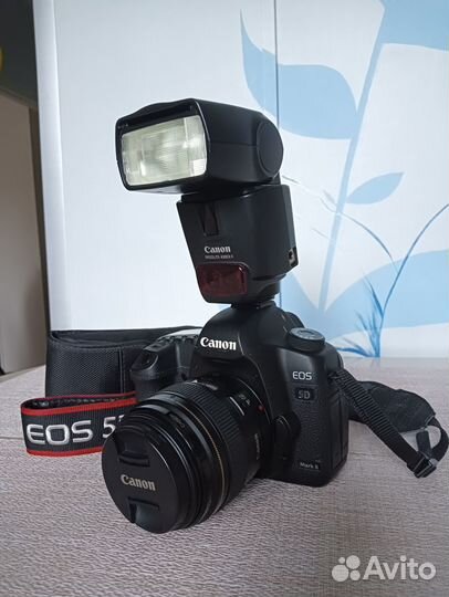 Canon eos 5D mark ii (30832 кадров)