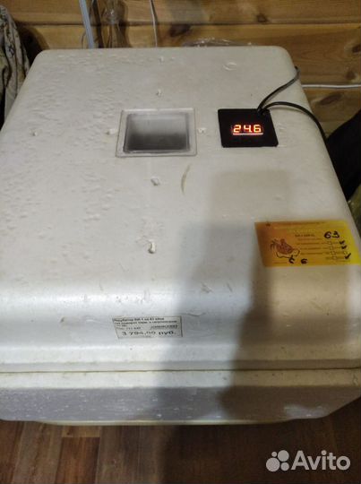 Инкубатор несушка