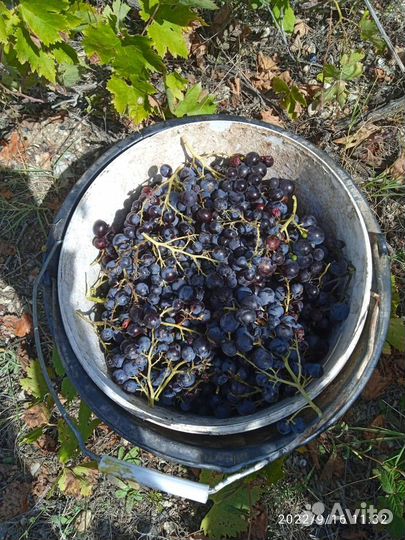 Продукты питания