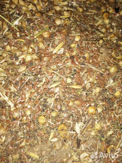 Отходы льна