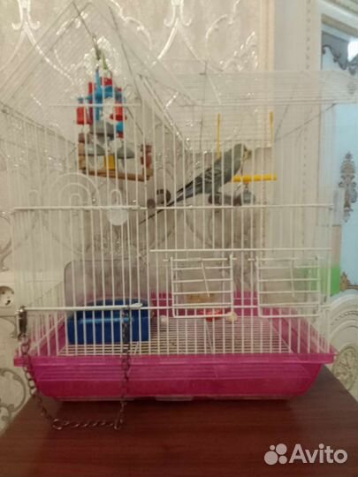 Клетка для попугая
