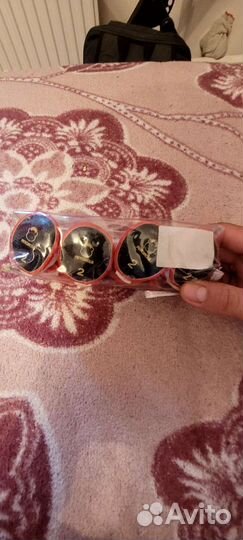 Вещи для мини Той терьера