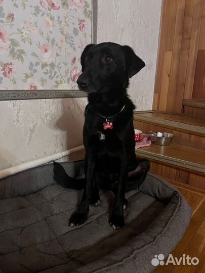 Мартюшечка ищет родителей