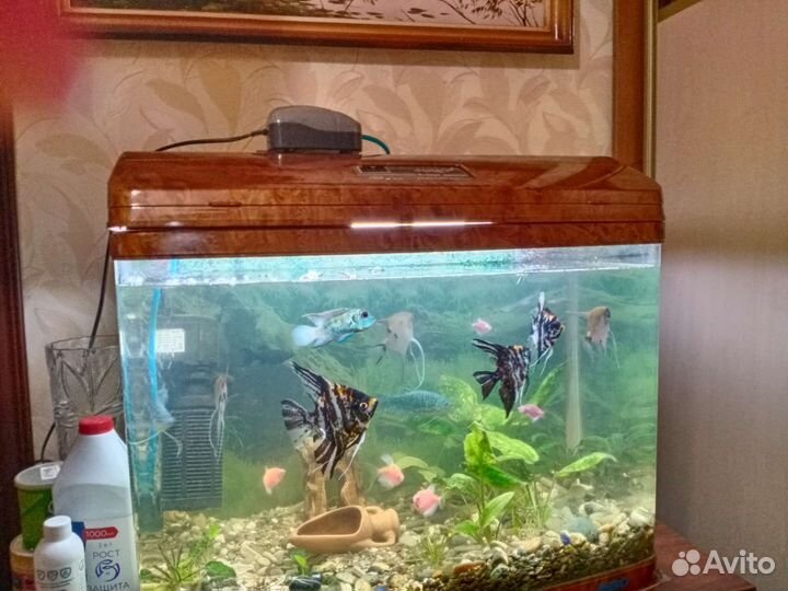Аквариум