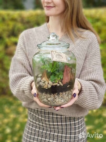 Флорариум В банке