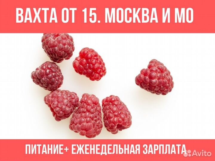 Фасовщик/Упаковщик / малины Вахта Всё включено