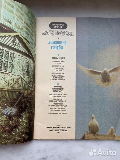 Редкая брошюра Домашние голуби 1992 г
