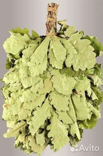 Дубовые веники