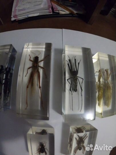 Продам номера коллекции 